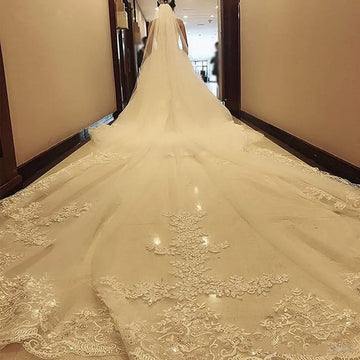 white ivory 5m One Layer Wedding Veil With Comb Lace Edge Bridal Veils Appliqued Cathedral Wedding Accessorie