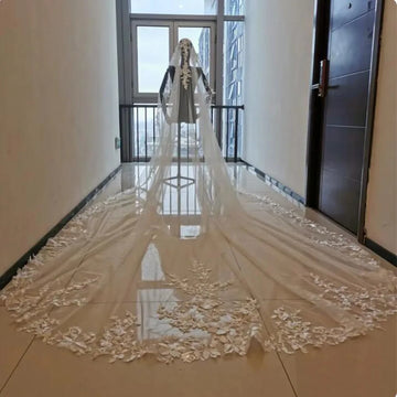 white ivory 3m 4m 5m One Layer Wedding Veil All Lace Appliqued Edge Bridal Veils Cathedral Wedding Accessorie